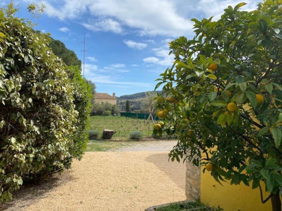Maison Cadière d'Azur photo 4