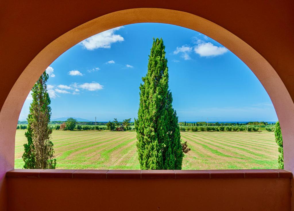 Appartamenti in Residence Villa Santa Maria photo 3