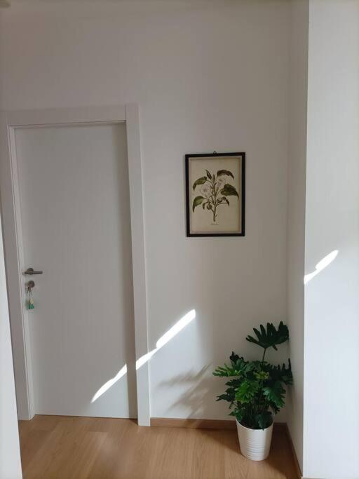 Loving My Rooms 1 - Deliziosa Mansarda in Centro photo 2