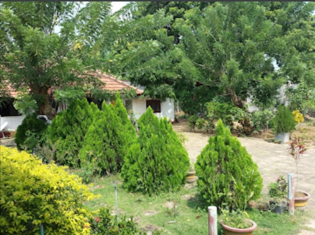 Sun & Sand Guest House photo 1