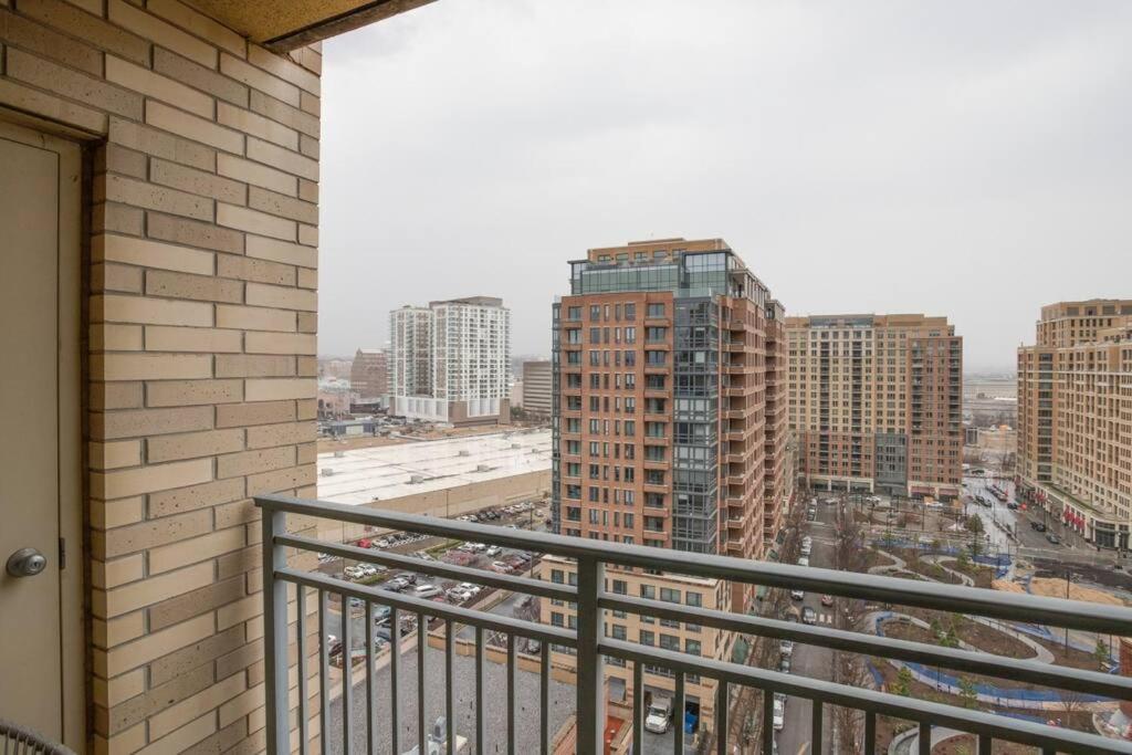 Wonderful 1 BR Apt Located At Pentagon City photo 3
