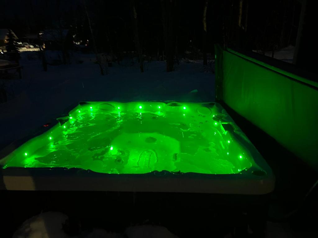Le Chal'heureux, ski & spa, ski-in ski-out photo 2
