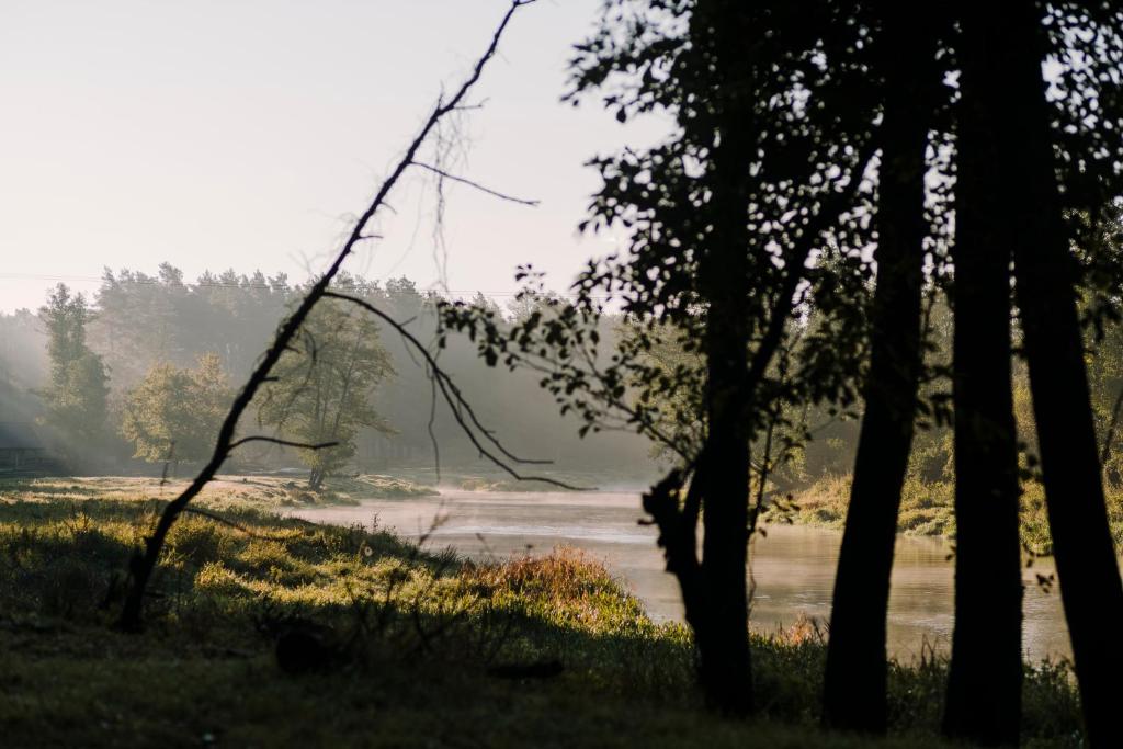 Gniazdowo nad rzeką photo 4