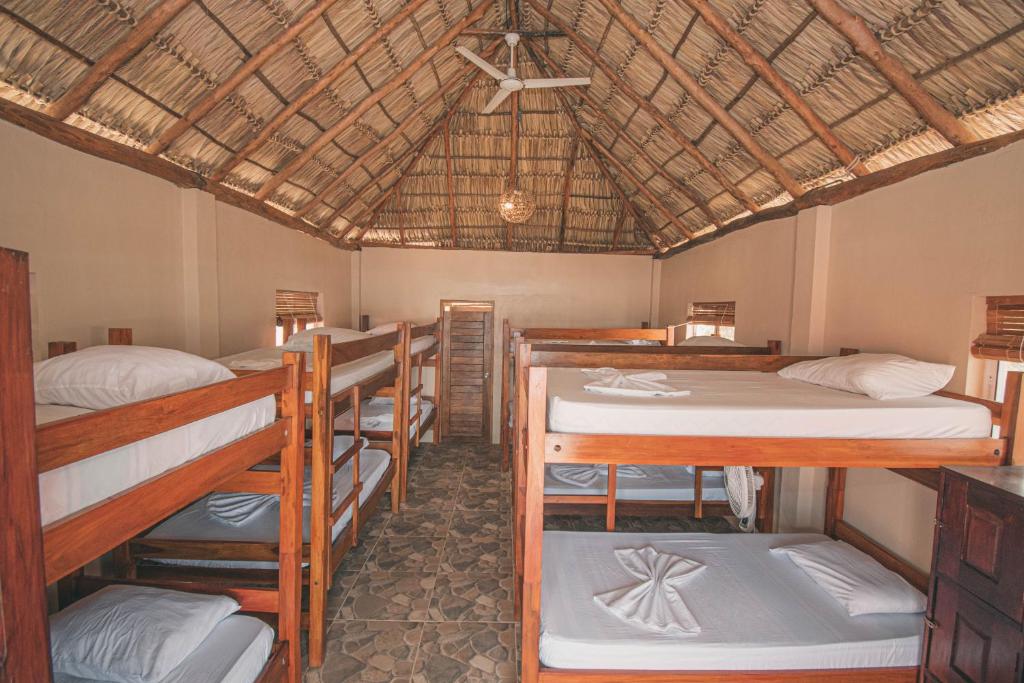 The Barrel Hostel photo 1