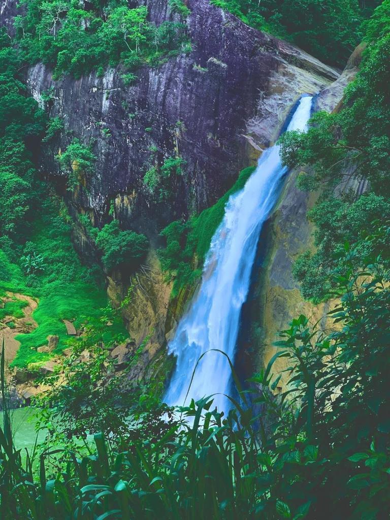 LD RoomA DunhidA photo 4