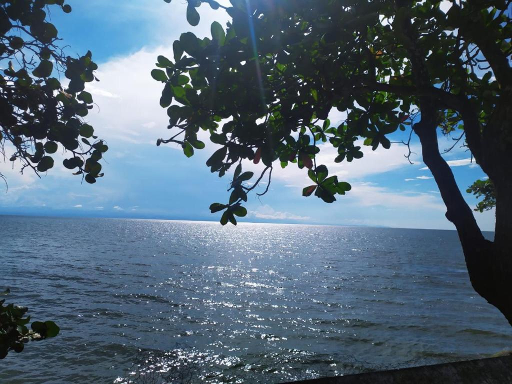 Cielito Lindo photo 3
