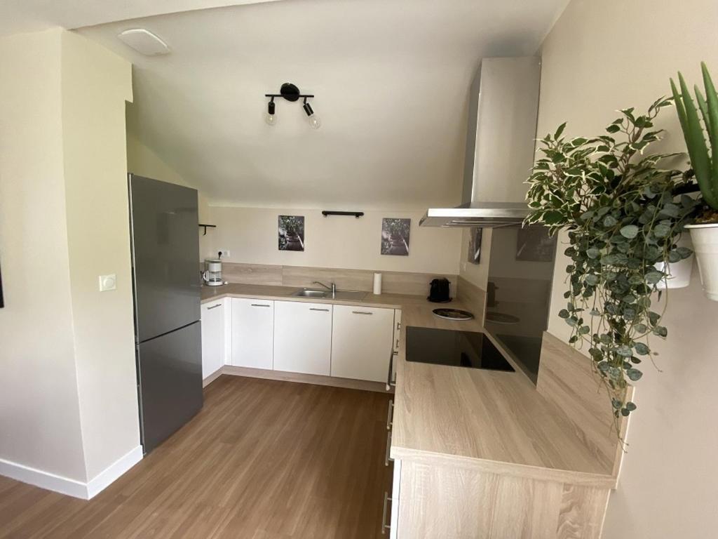Appartement La Roche-Posay, 3 pièces, 4 personnes - FR-1-541-97 photo 4