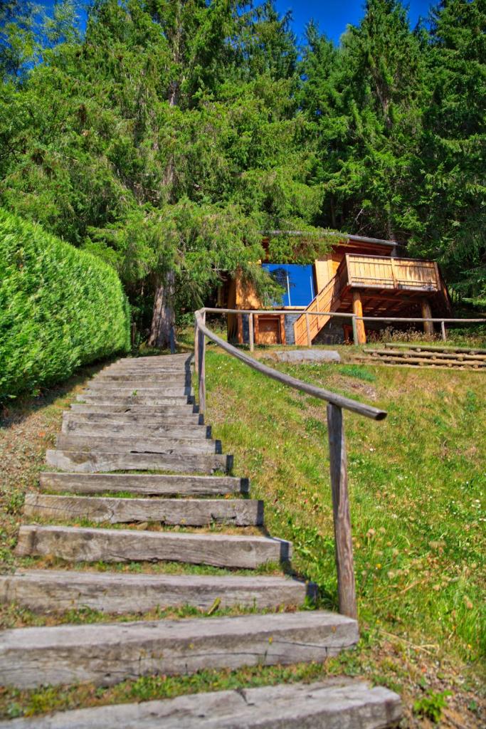 Chalet dans les Arbres photo 1