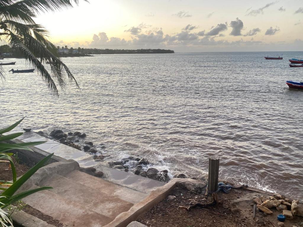 Las Palmeras OceanView Hotel and Dive Center photo 3