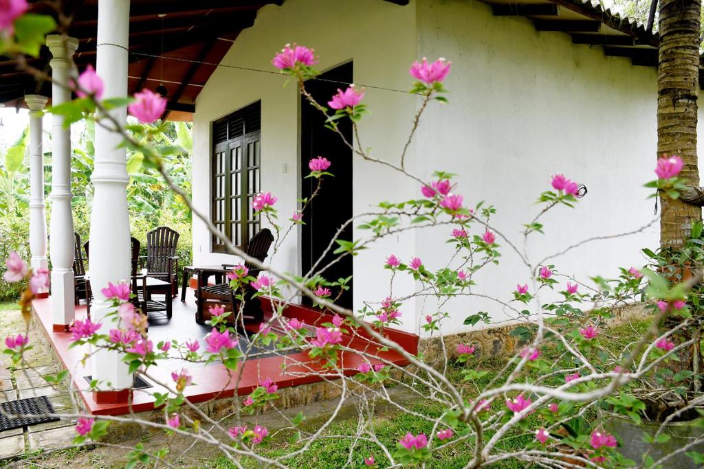 Bay Hill Guest House photo 1