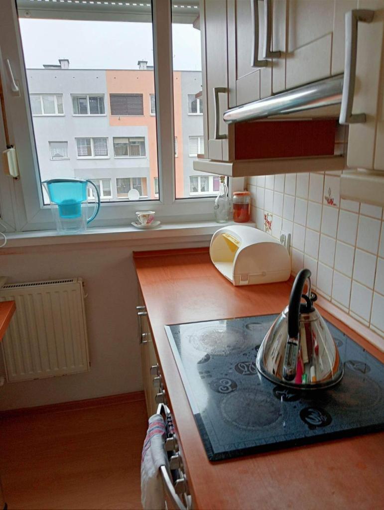 Bogatynia baza wypadowa Turów photo 3