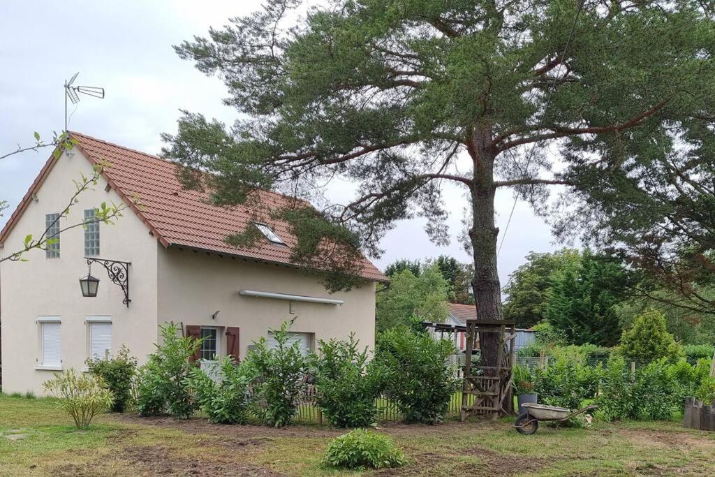 proche chateaux et zoo de beauval: gîte de sologne photo 3