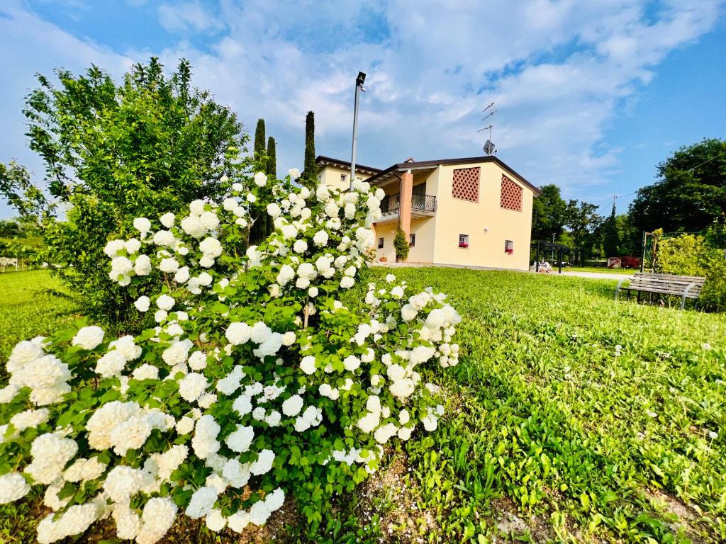 Incanto del Garda photo 1