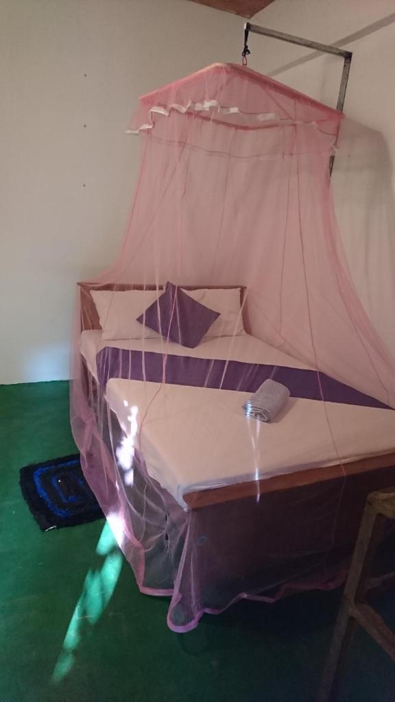 Chandi Relax Hostel photo 2