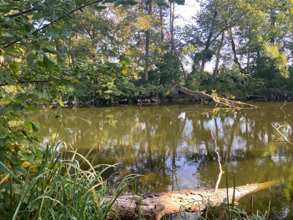Gästesuite „Torfstich“ photo 3