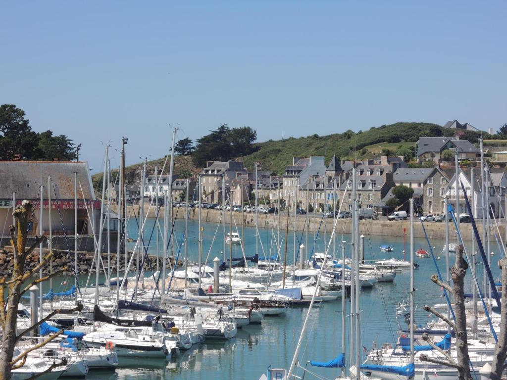 Joli appartement avec wifi sur le port de Dahouet photo 1
