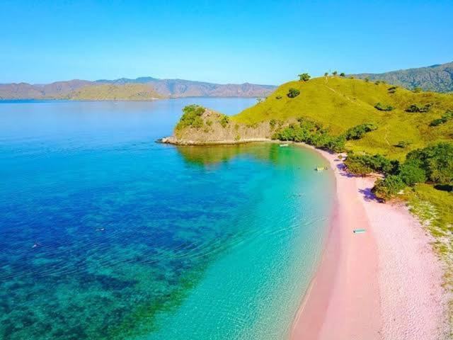 sharing trip Komodo photo 1