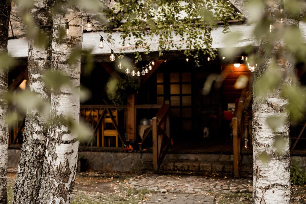Maciejówka Borki 33 photo 3