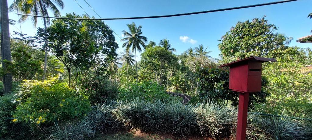 Windy Ridge Kandy photo 4