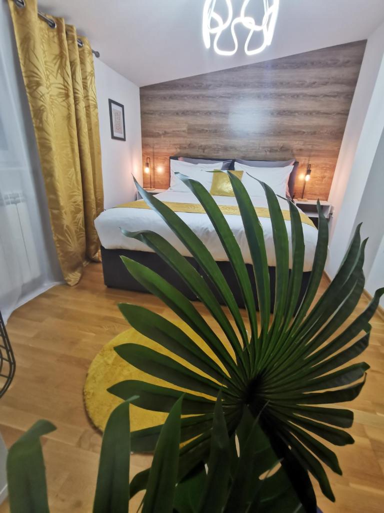 Sun Deluxe Apartment photo 3