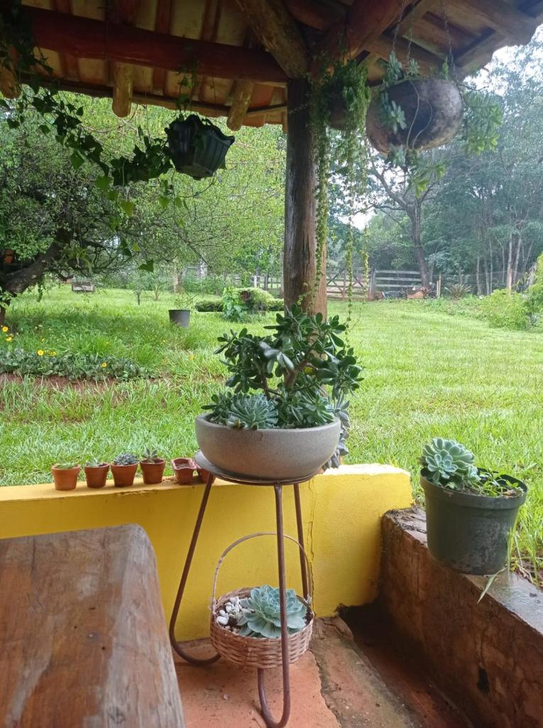 Recanto das Aves photo 2