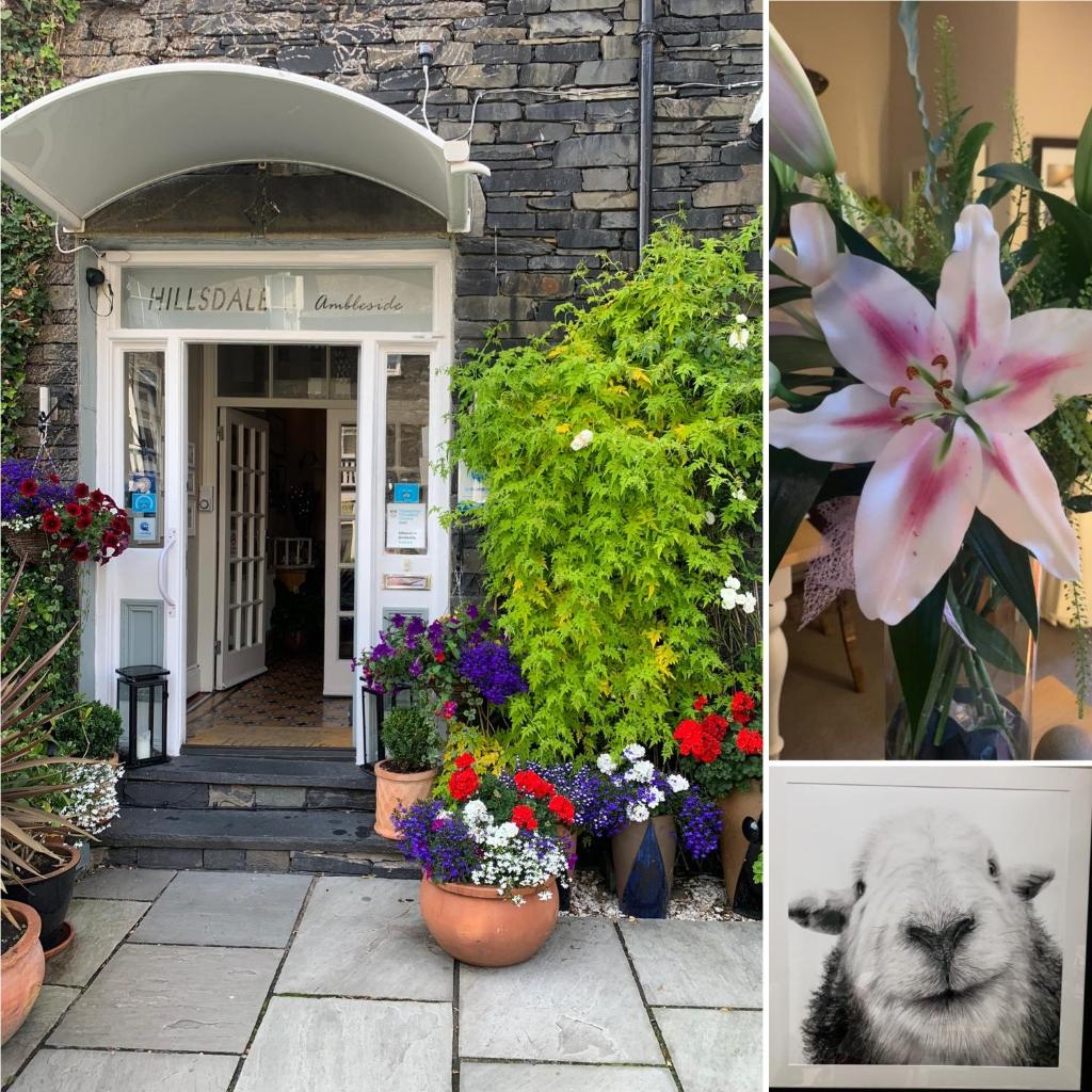 Hillsdale B&B in Ambleside photo 1