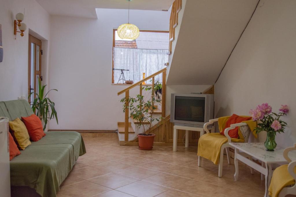 Pensiunea Casa Elena photo 3