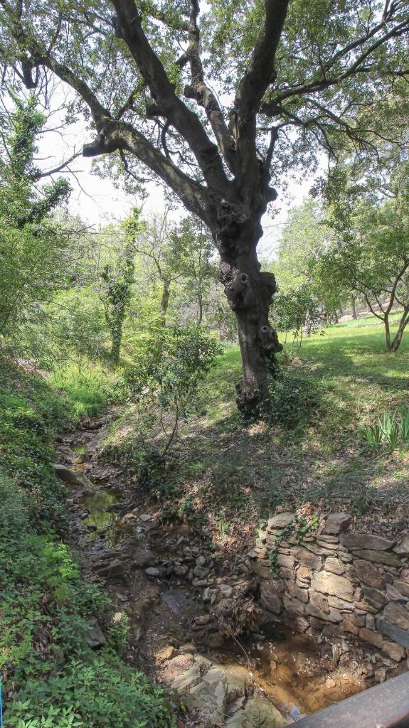 Hameau de la Suyère photo 4