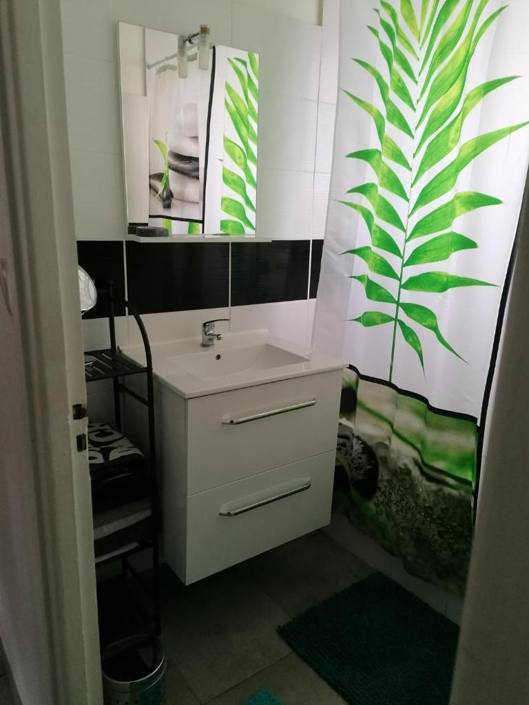 Appartement entier Bourges Avaricum centre ville photo 3