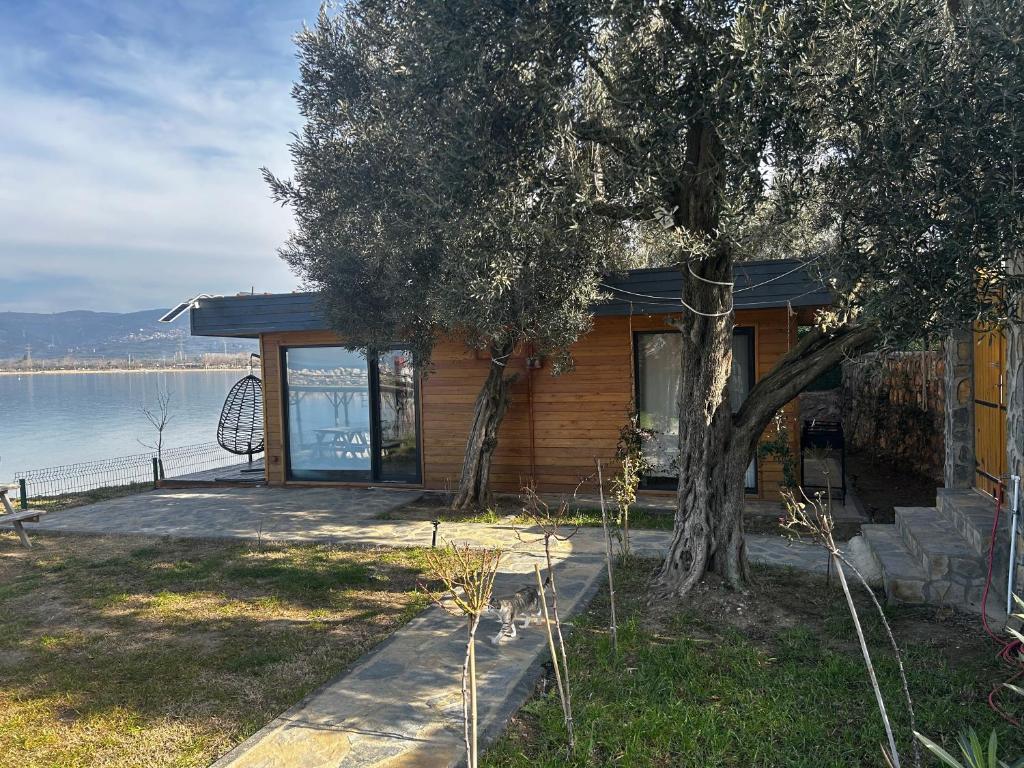 Exclusive Bungalow by the Sea photo 1