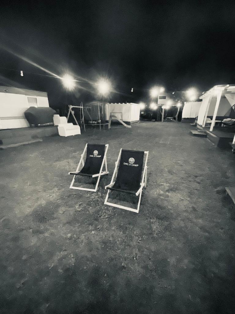 Owls Camp