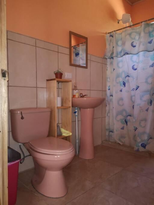Casa del Eucalipto photo 3