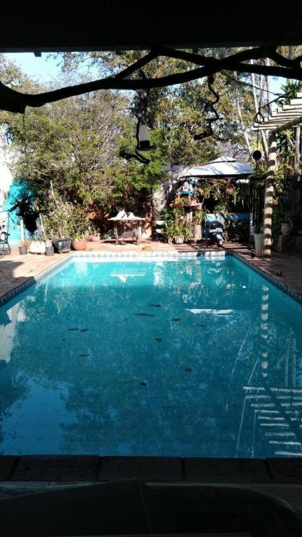 Alpha Hospedaria & Hostel photo 2
