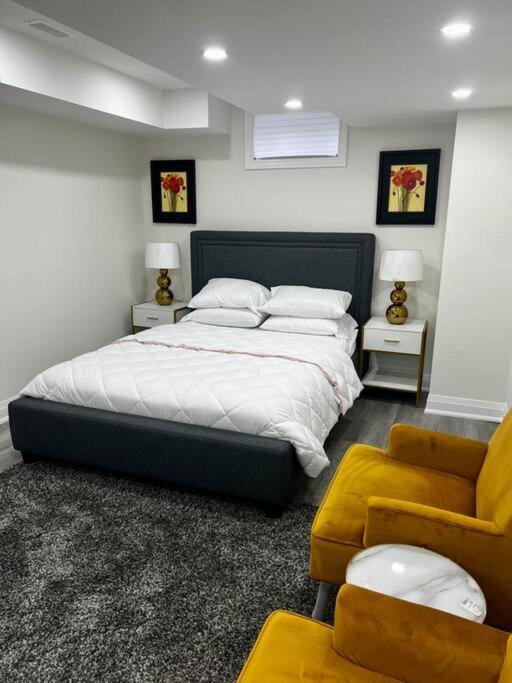 New Luxurious Studio Apartment photo 1