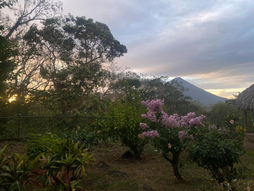 Eco-Lodge El Porvenir. photo 1