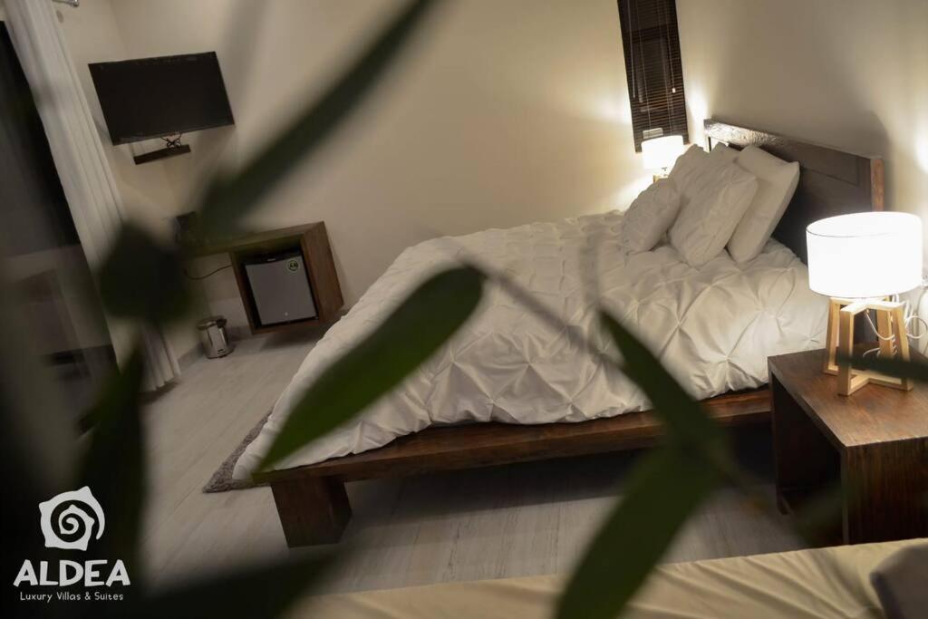 ESPECTACULAR SUITE+JACUZZI Y TERRAZA PRIVADA photo 3