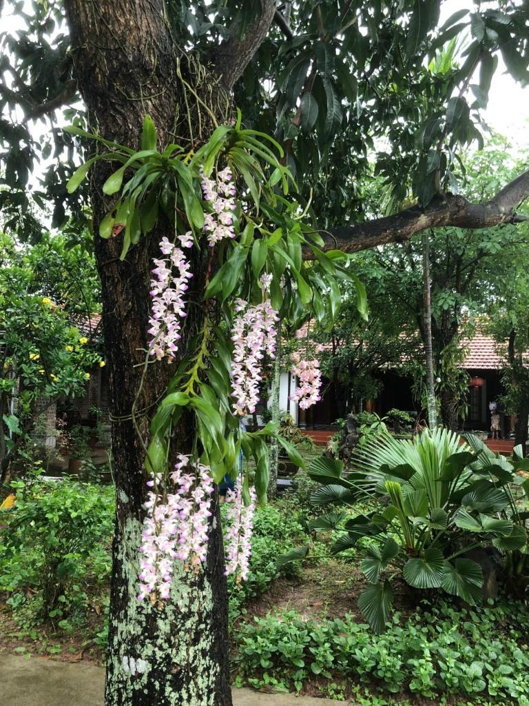 Le Jardin De Tamcoc Homestay