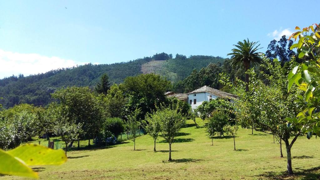 Corredoira photo 2