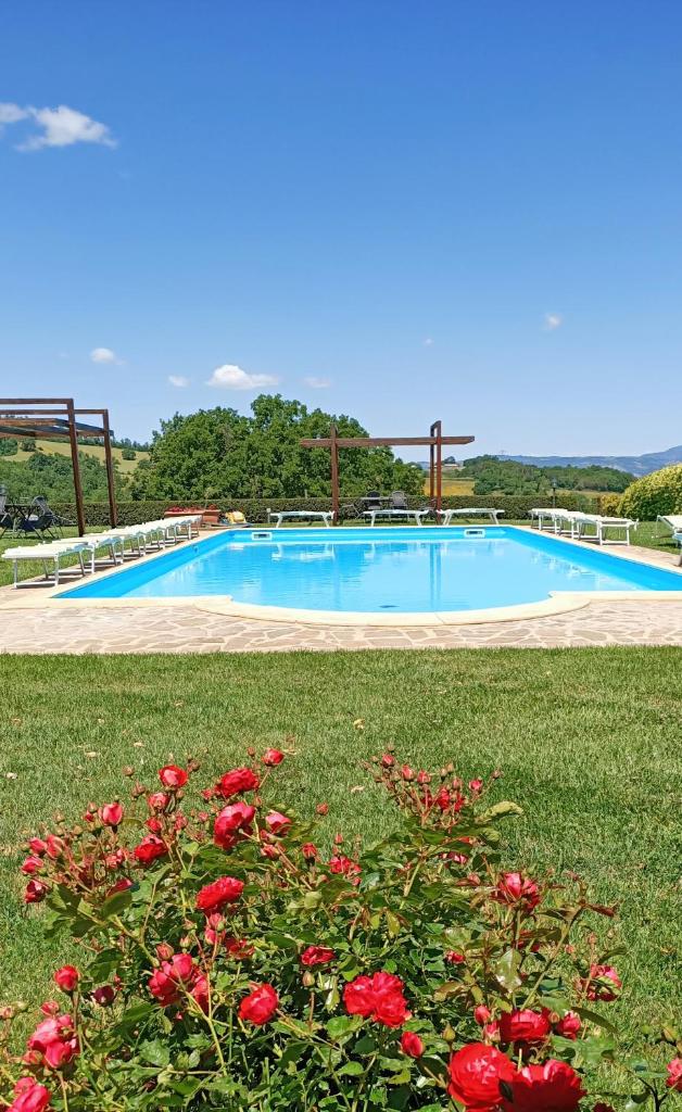 Il Poggio di Teo photo 1
