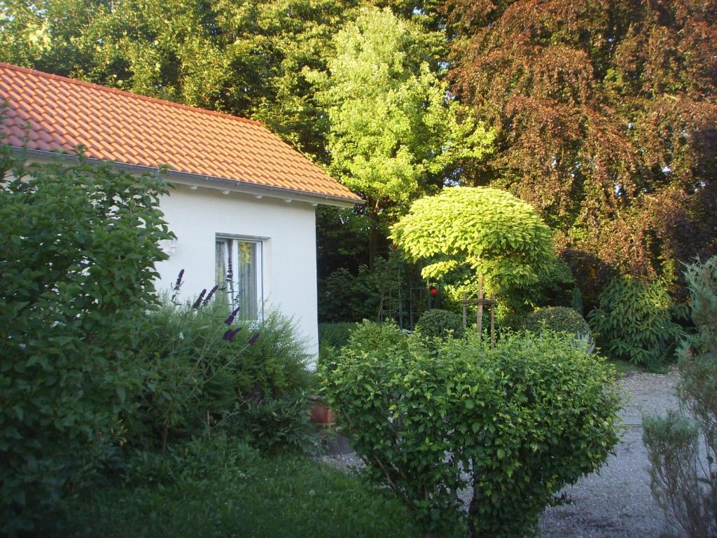 Villa Maja photo 1