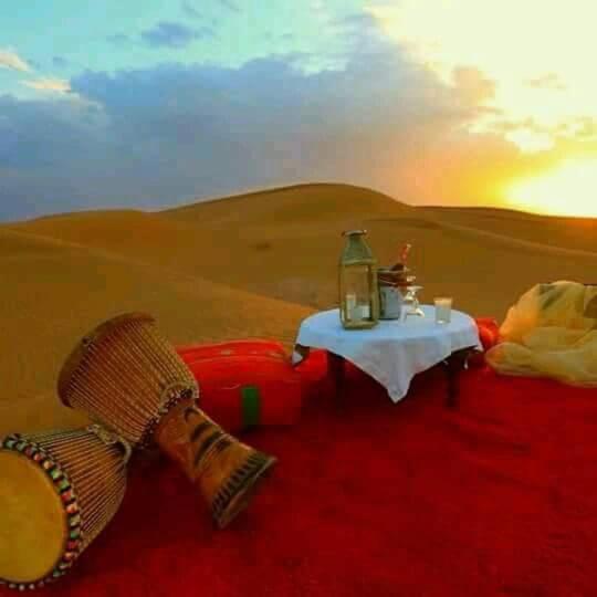 Desert life photo 4