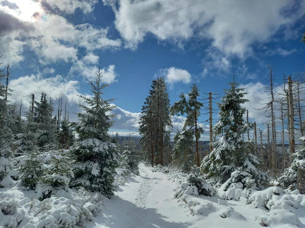 Elfenhäuschen mit 3 DTV Sternen ausgezeichnet photo 1