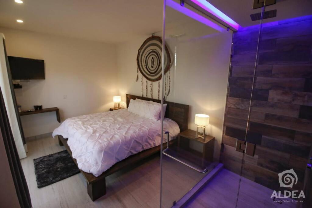 SUITE CON JACUZZI Y TERRAZA PRIVADOS EN PIRAMIDES photo 1