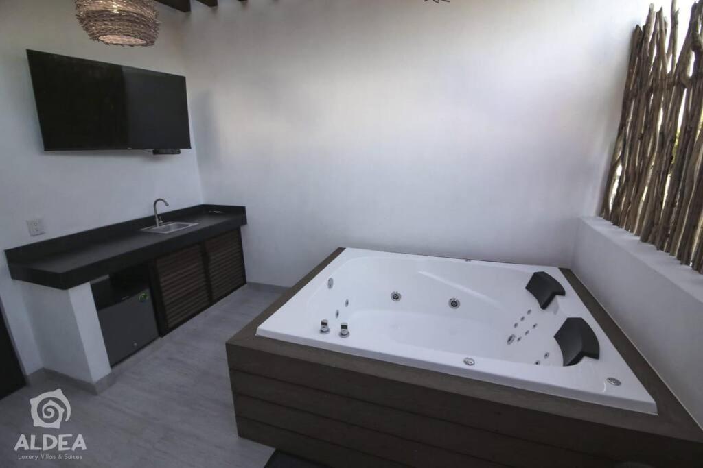 SUITE CON JACUZZI Y TERRAZA PRIVADOS EN PIRAMIDES photo 4