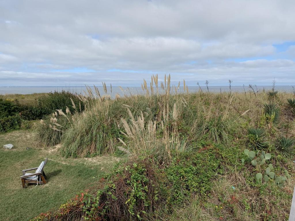Sandy Dunes at the Beach - Beachfront, Wi-Fi, Pets home photo 1