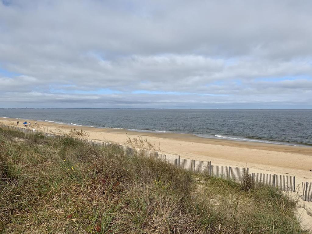 Sandy Dunes at the Beach - Beachfront, Wi-Fi, Pets home photo 3