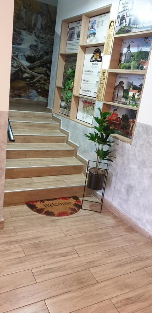 Vila Senić photo 1