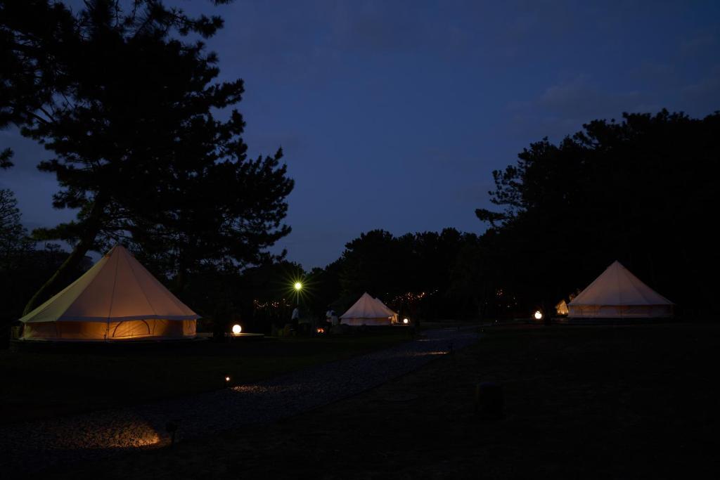 small planet CAMP&GRILL photo 4