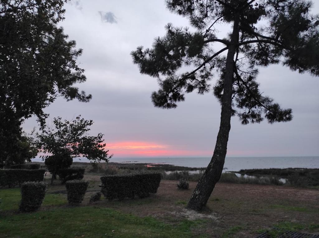 lesmobilhomesduferret - camping Les Viviers - via particulier photo 3
