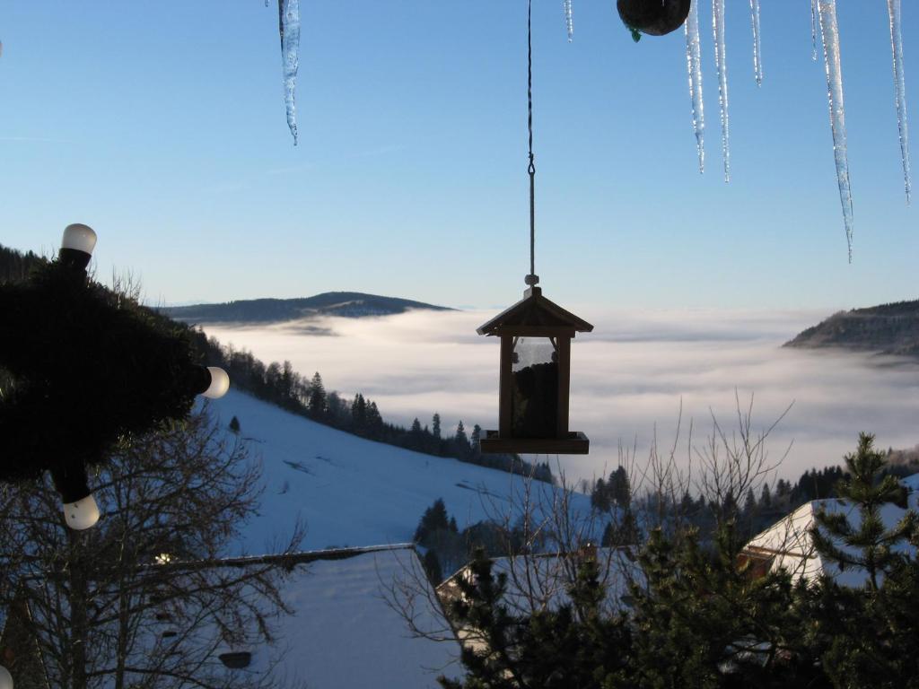 Schöne Aussicht photo 1